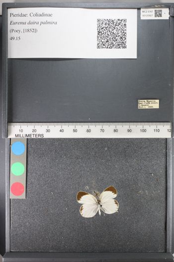 Media type: image;   Entomology 120927